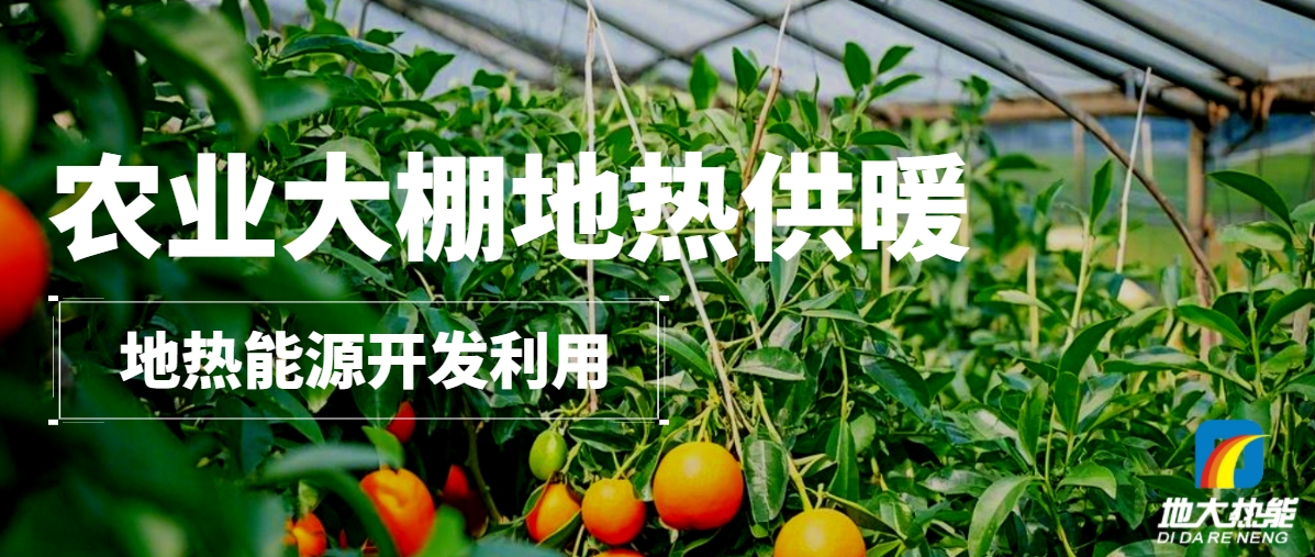 農(nóng)業(yè)大棚地?zé)峁┡壕G色農(nóng)業(yè)新曙光-地?zé)衢_發(fā)利用-地大熱能 農(nóng)業(yè)大棚地?zé)峁┡壕G色農(nóng)業(yè)新曙光-地?zé)衢_發(fā)利用-地大熱能