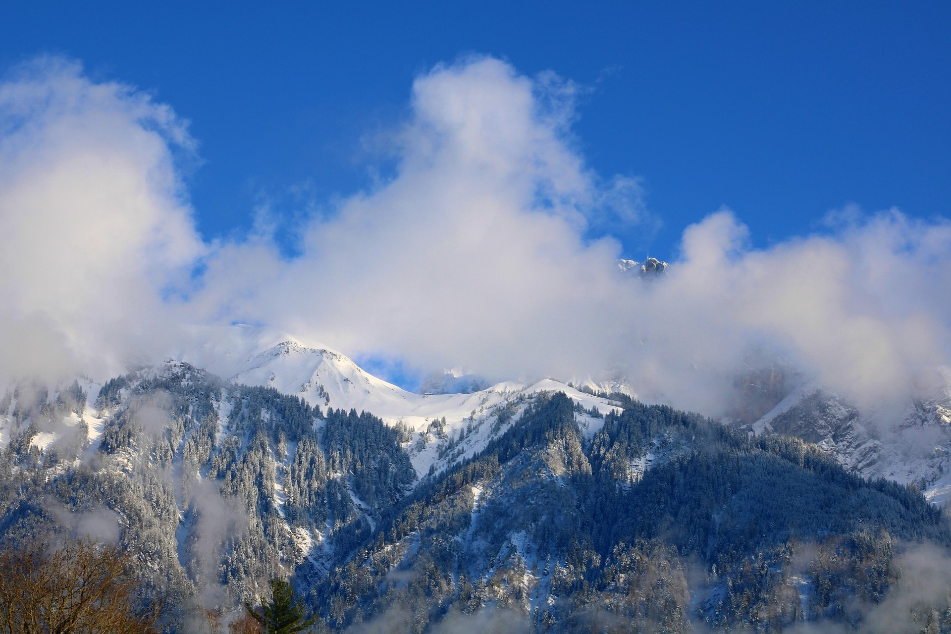 如何深化清潔能源協(xié)同推進(jìn)降碳、減污、擴(kuò)綠、增長-地大熱能